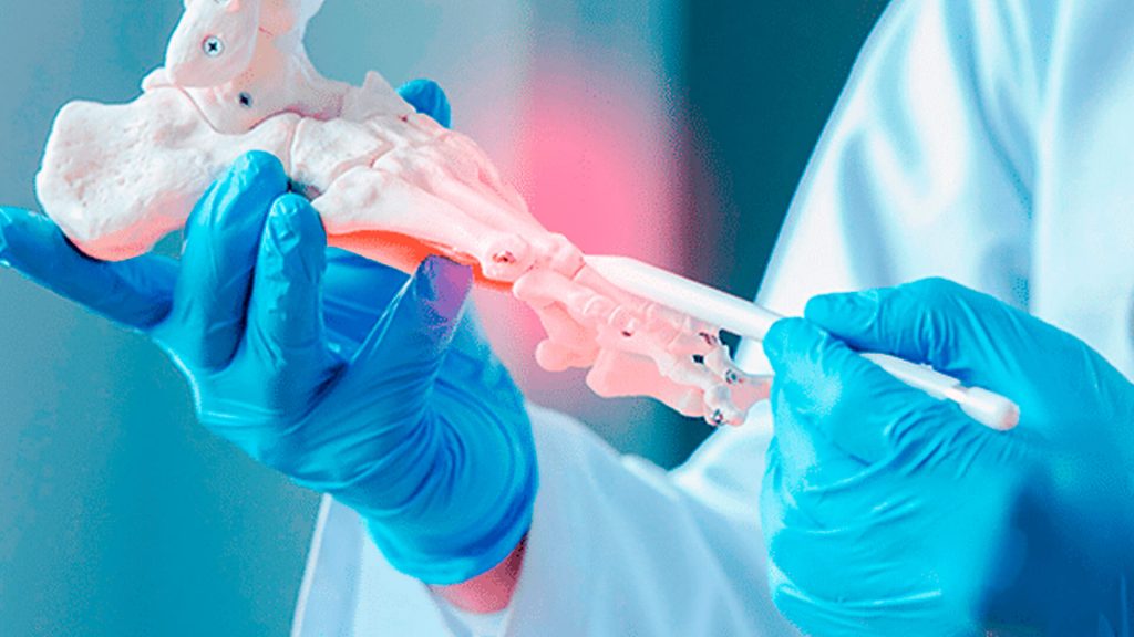 Estudos em ortopedia e traumatologia