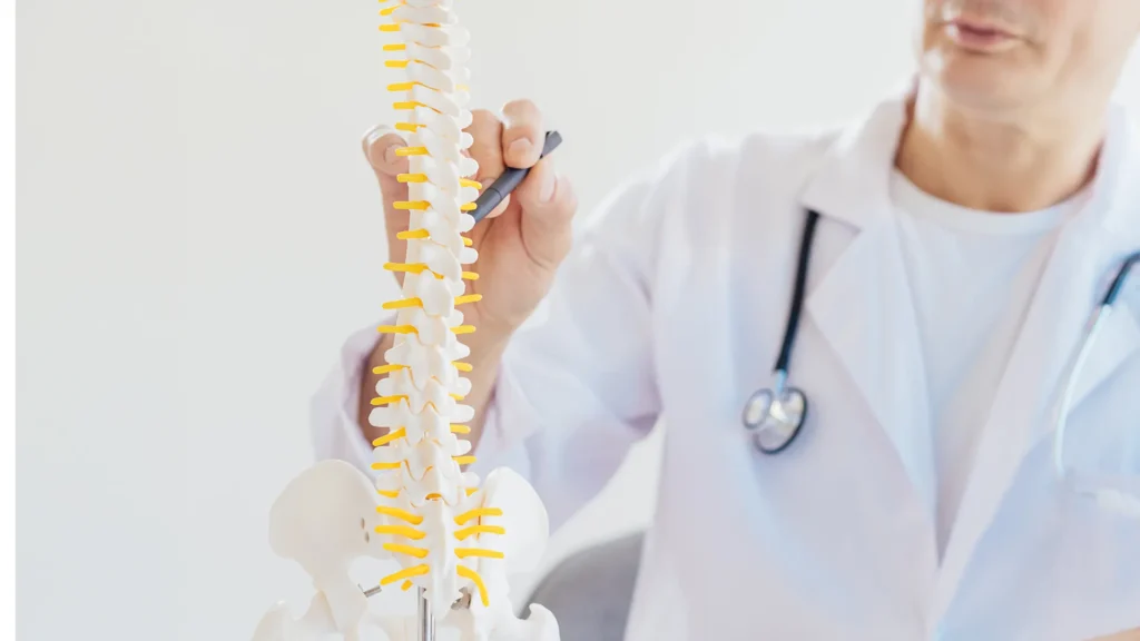 ENTENDENDO A BIOMECÂNICA DA COLUNA VERTEBRAL